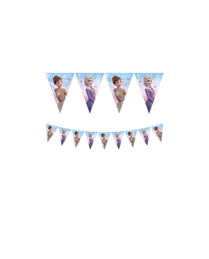 Festone bandiera Frozen mt 2,30
