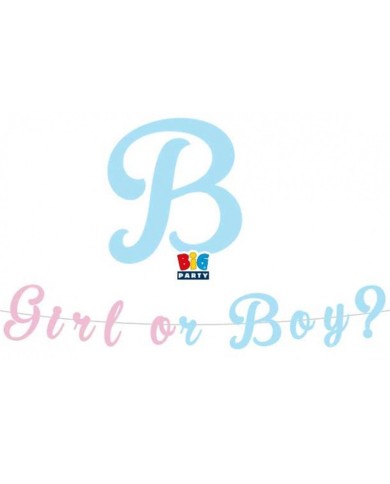 Festone sagomato boy or girl mt 3