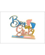 Cannon cm 30 gender reveal boy